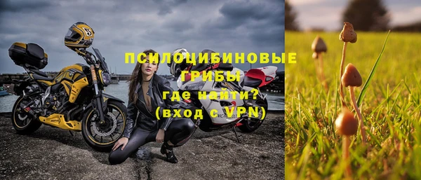 spice Аркадак