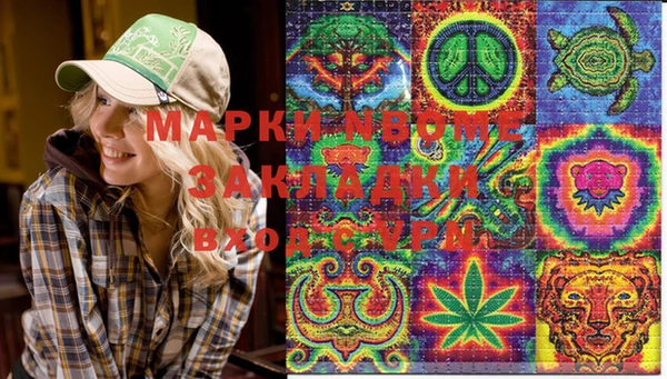 мдпв Арсеньев
