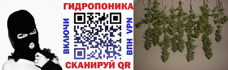 Бошки Шишки OG Kush  наркота  Осташков 